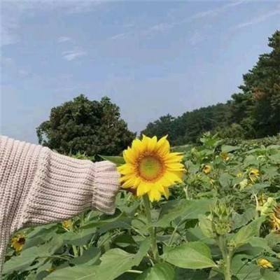 10年后有望达